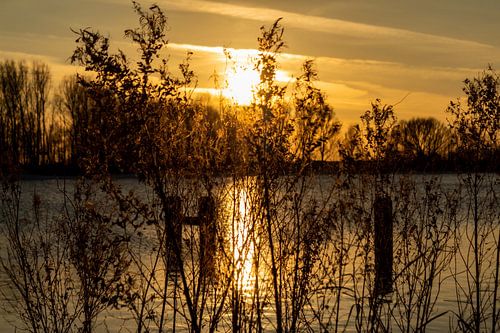 Zonsondergang Brielse Meer