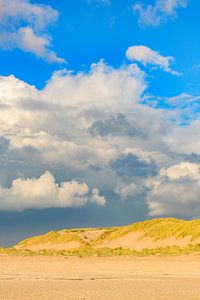 Sanddünen am Nordseestrand von Texel von Sjoerd van der Wal Fotografie