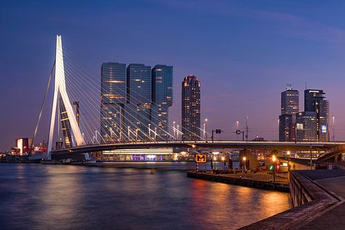 Rotterdam skyline, Erasmus bridge
