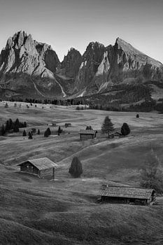 Seiser Alm in den Dolomiten in schwarz-weiß