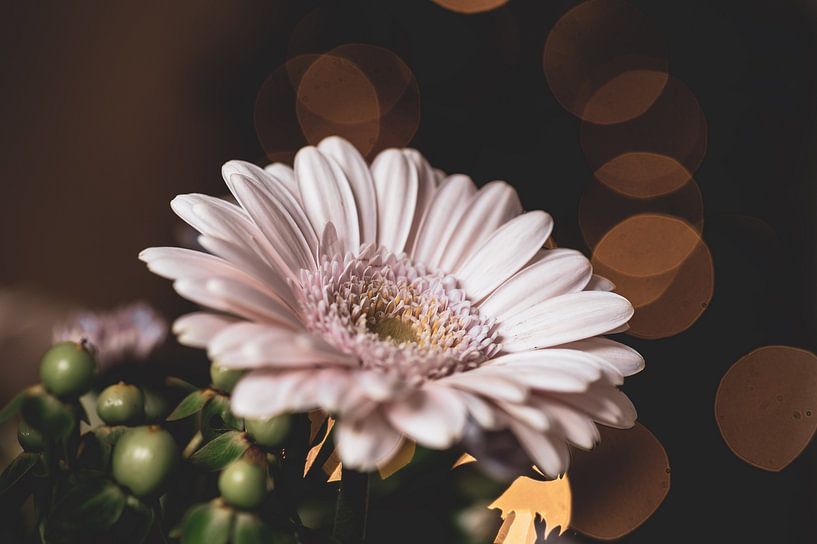 flowers part 39 by Tania Perneel