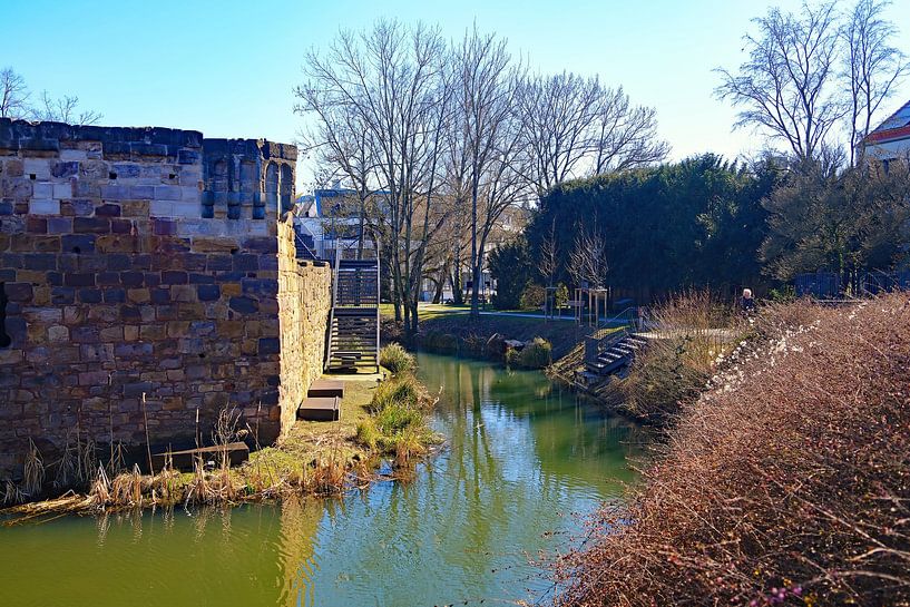 An der Burgruine Vilbel von Thomas Riess