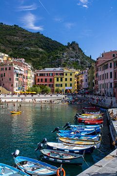Kleurrijke haventje van Vernazza, Italië van Stef Heijenk