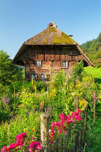 Black Forest Mill with Farm Garden in the Black Forest