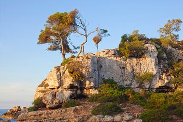 Cala s'Almonia - Mallorca von t.ART