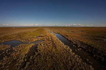 Vaste marais salé sur la côte des Wadden de Groningue sur Bo Scheeringa Photography