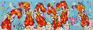 Dames Poules | Panorama