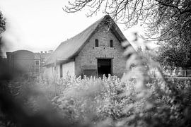 Remise dans le parc Hertenkamp, parc municipal de Maastricht sur Streets of Maastricht