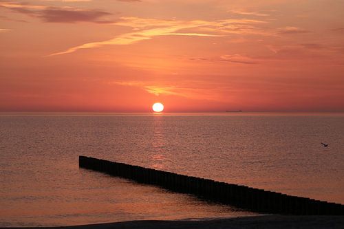 Sun on Usedom