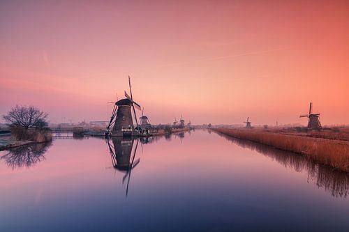 Kinderdijk bij zonsopkomst