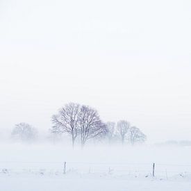 WinterMist van Foto NVS