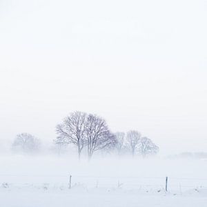 Brume d'hiver sur Foto NVS