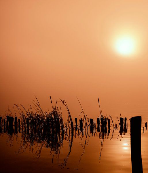 Alles wird orange von Peter Bartelings