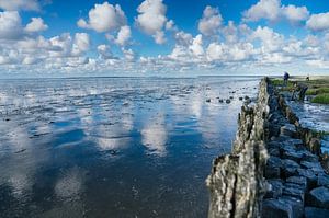 Landschapsfoto Friesland Moddergat 02 van Lisenka l' Ami Fotografie