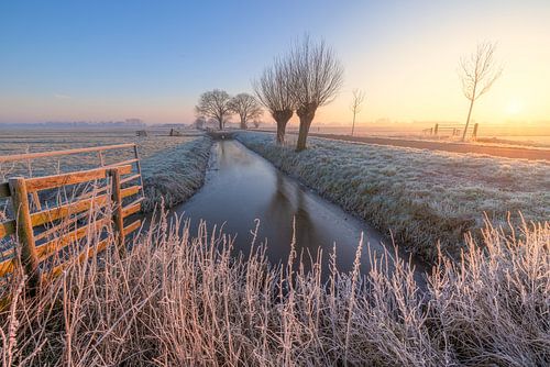 Die ersten Sonnenstrahlen beleuchten eine klassische niederländische Polderlandschaft bei Sonnenaufgang im Winter