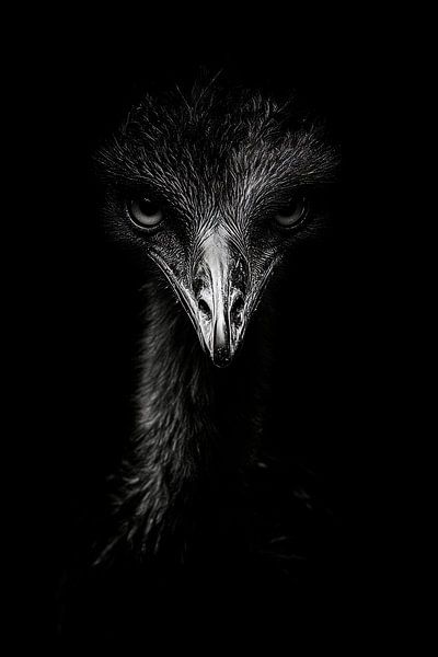 Emu von Poster Art Shop