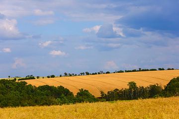 Zomerlandschap van Thomas Jäger