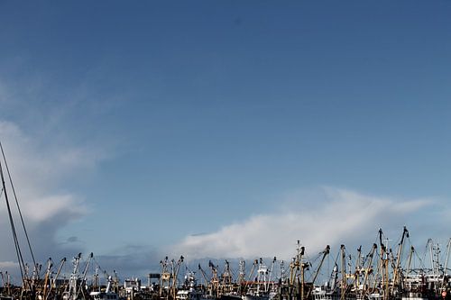 Bateaux de pêche en forêt
