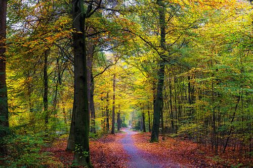 Boslandschap "Een Smal Pad"
