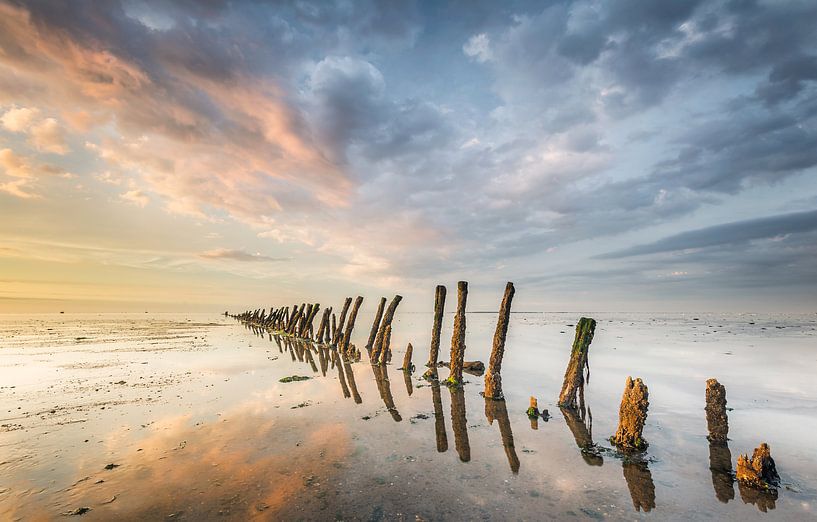 Posts towards the horizon on the Wadden Sea near Wierum Friesland by Martijn van Dellen