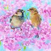 Zwei Spatzen zwischen rosa Kirschblüten von Karen Kaspar