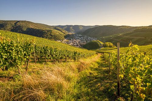 Ahrtal, Rijnland-Palts, Duitsland