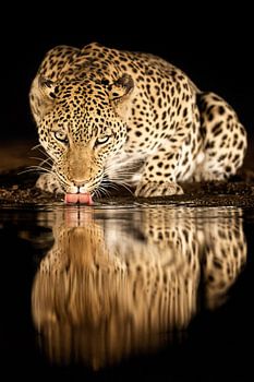 Alleinerziehende Mutter