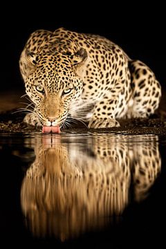 alleenstaande moeder van Amnon Eichelberg