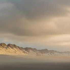 Endless Dunes Portugal by Rudolfo Dalamicio