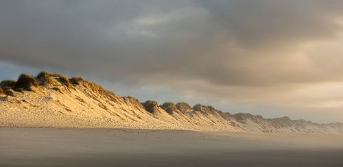 Eindeloze Duinen Portugal van Rudolfo Dalamicio