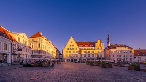 Rathausplatz in Tallinn am Morgen
