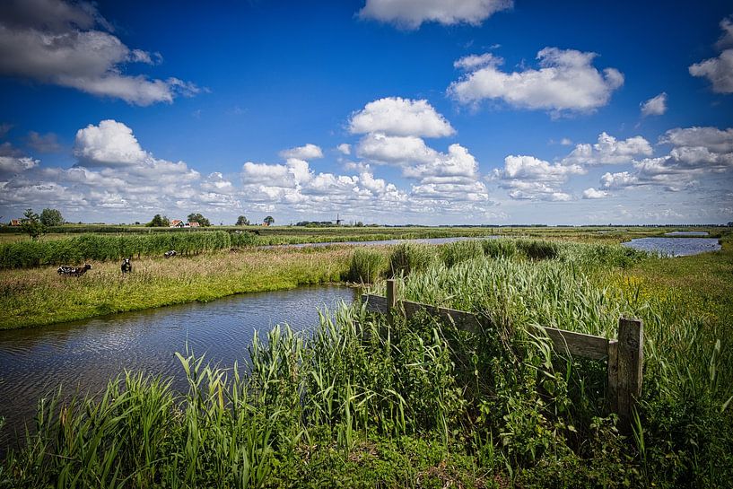 View over the polder by peterheinspictures