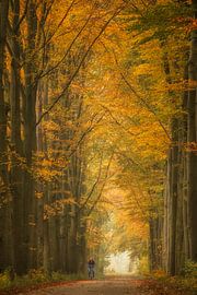 Radfahren auf Gut Marienwaerdt von Moetwil en van Dijk - Fotografie