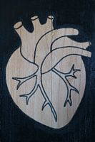 Hart (2/3)