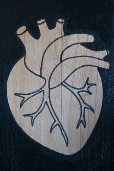 Herz (2/3)