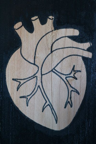 Heart (2/3) by hou2use