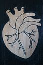Heart (2/3) by hou2use thumbnail
