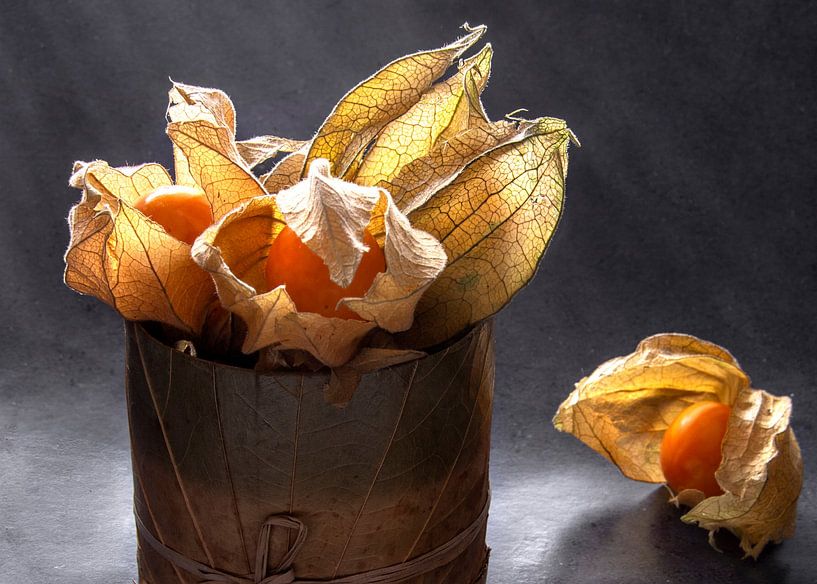 Physalis 2 van Alex Neumayer