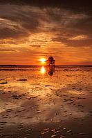 Englischer Teller in Flammen