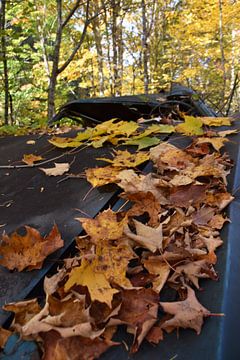 Een oude auto in het bos in de herfst van Claude Laprise