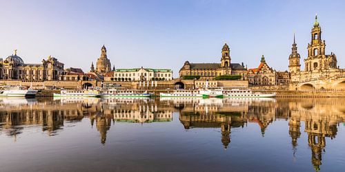 Skyline Dresden mit Raddampfern und der Frauenkirche