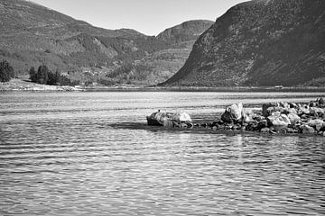 Fjord in Noorwegen, in zwart-wit van Martin Köbsch