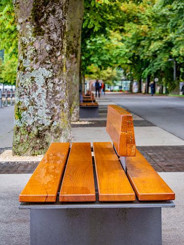 Oostenrijk : Zitten op de promenade van het meer van Bregenz