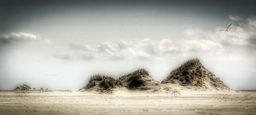 Des dunes de rêve par Harry Stok