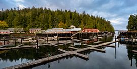 Telegraph Cove: Ruhe an der Wild Coast
