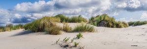 Düne bei Ouddorp Goeree-Overflakkee