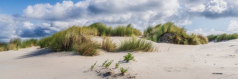 duin bij Ouddorp Goeree-Overflakkee van eric van der eijk