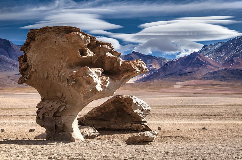 surrealer Fels in Bolivien von Alex Neumayer