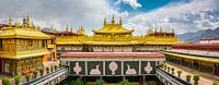 Op het dak van de Jokhang tempel in Lhasa, Tibet van Rietje Bulthuis thumbnail