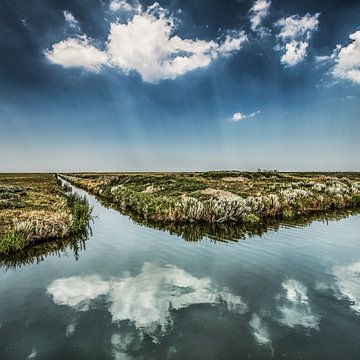 Het Noorderleeg nabij Holwerd op een zonnige zomerdag by Harrie Muis